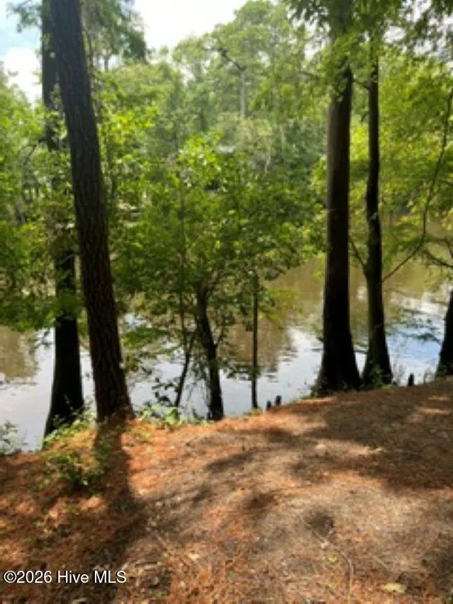 13 Riverview Drive Burgaw, NC 28425