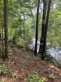 13 Riverview Drive Burgaw, NC 28425
