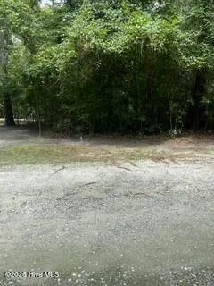 13 Riverview Drive Burgaw, NC 28425