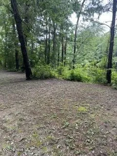 13 Riverview Drive Burgaw, NC 28425