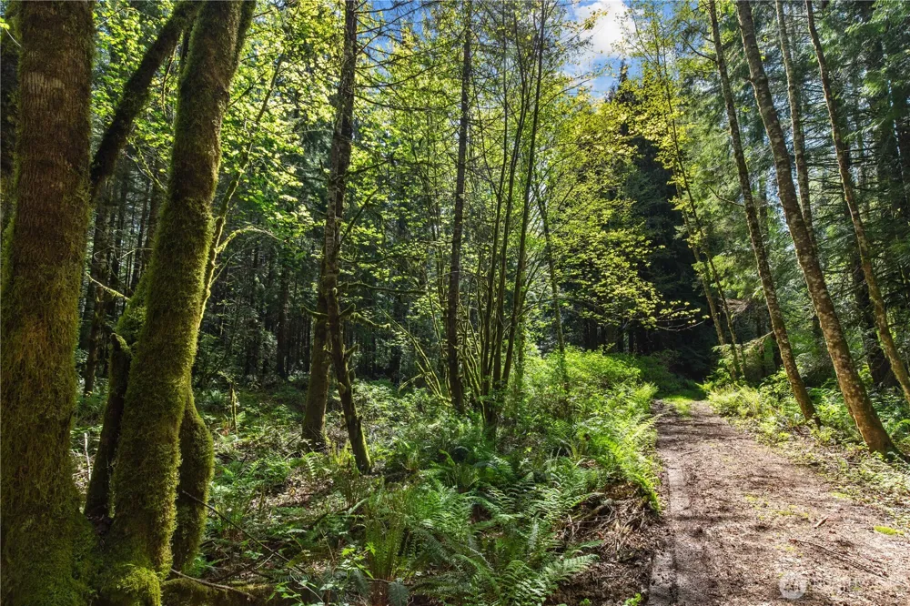 27525 W Lake Riley Road Arlington, WA 98223