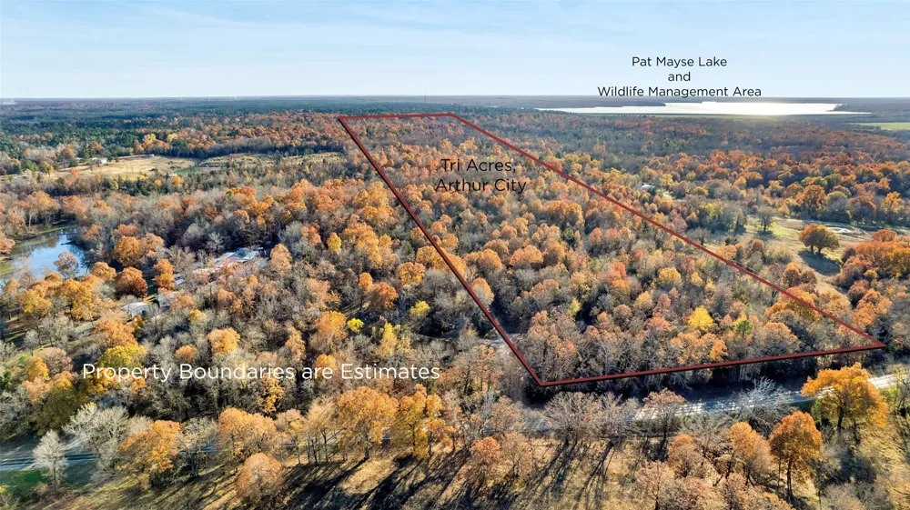 197 Arthur City, TX 75411