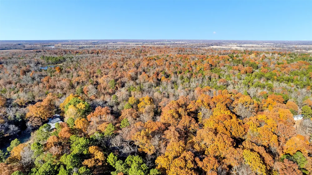 197 Arthur City, TX 75411