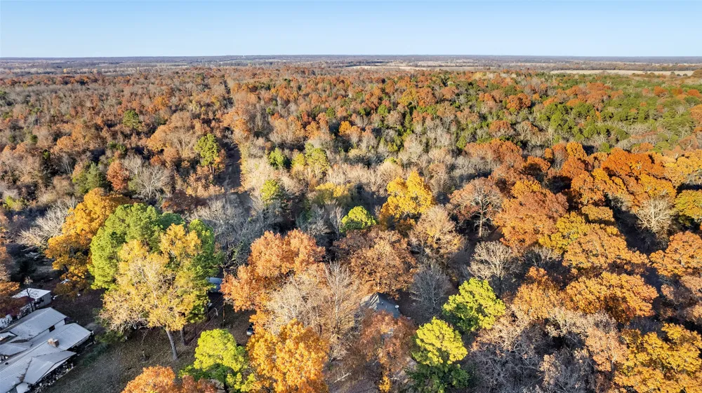 197 Arthur City, TX 75411
