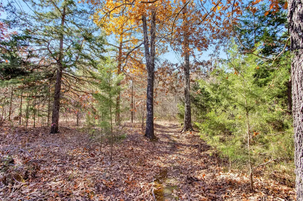 197 Arthur City, TX 75411