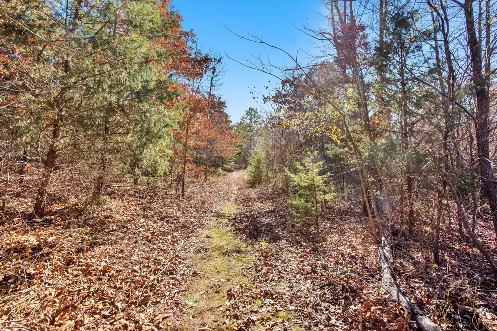 197 Arthur City, TX 75411
