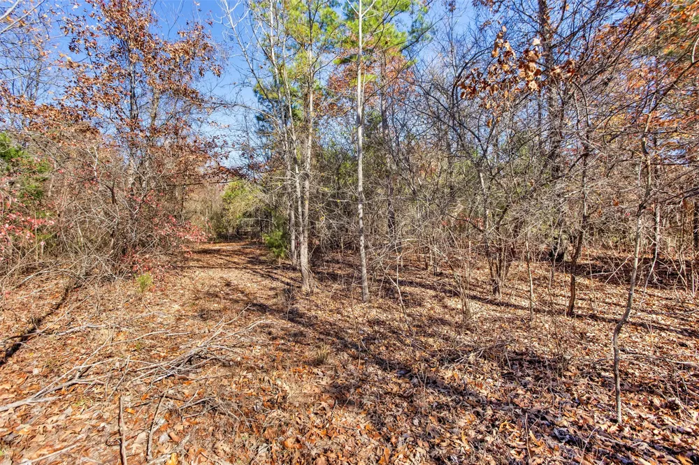 197 Arthur City, TX 75411