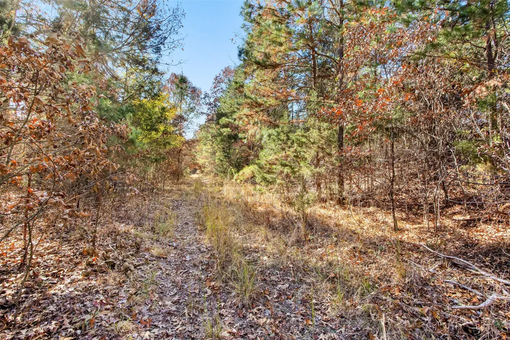 197 Arthur City, TX 75411
