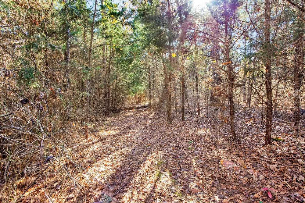 197 Arthur City, TX 75411
