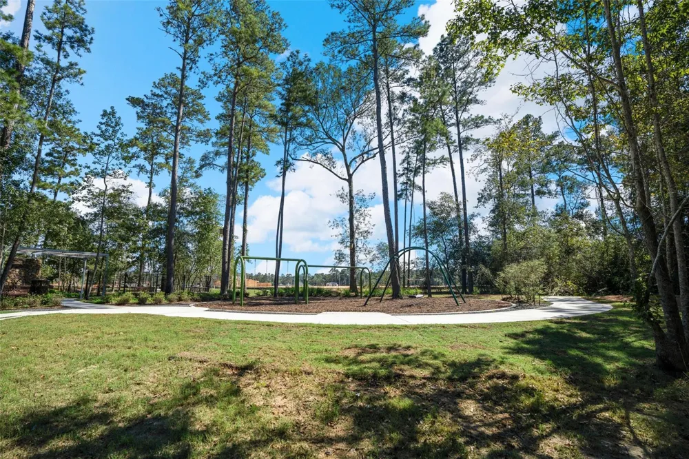 39232 Water Rail Court Magnolia, TX 77354