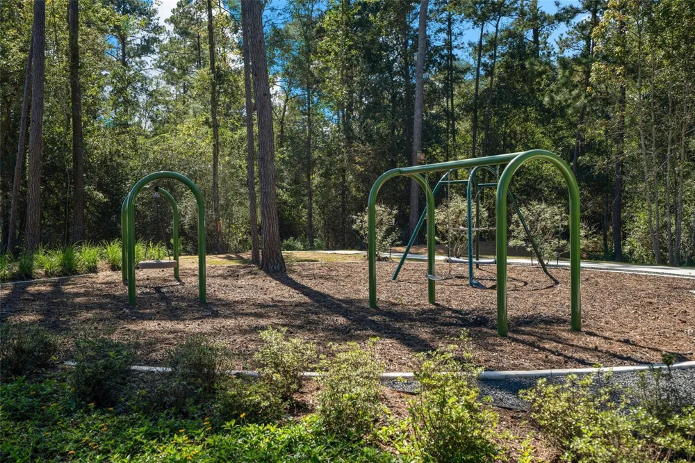 39232 Water Rail Court Magnolia, TX 77354