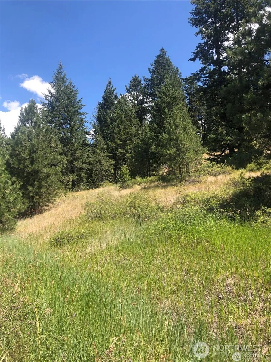 22 Pine Chee Rd Oroville, WA 98844