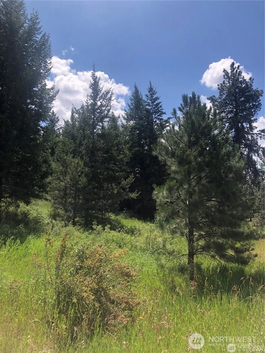 22 Pine Chee Rd Oroville, WA 98844
