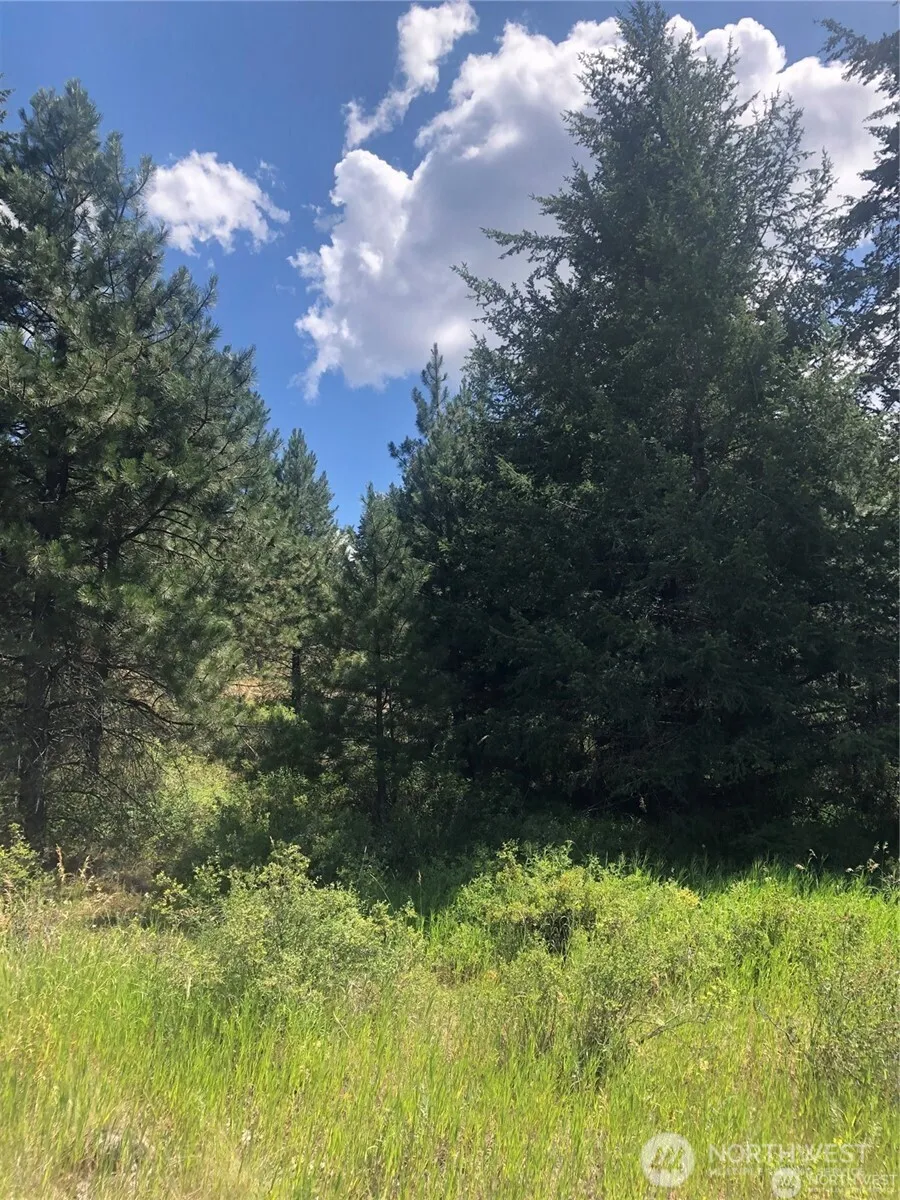22 Pine Chee Rd Oroville, WA 98844