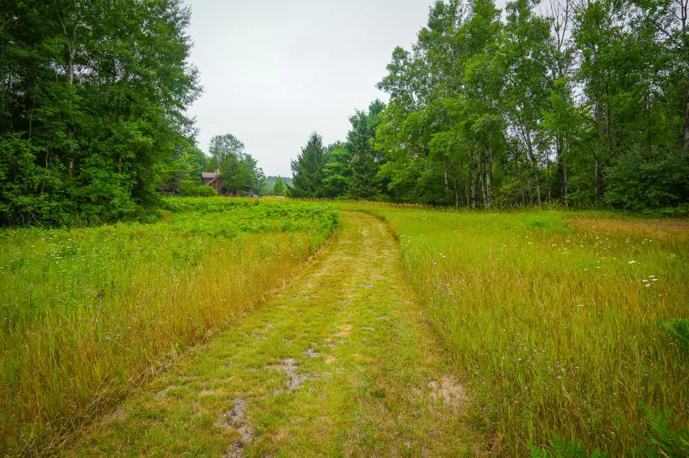 5118 Raymond Road Luther, MI 49656