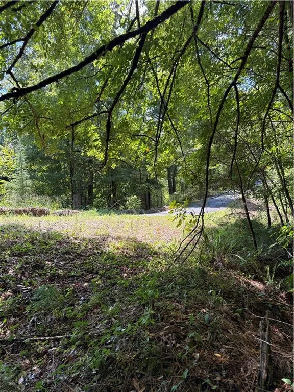 1707 Rebekah Ridge Road Talking Rock, GA 30175