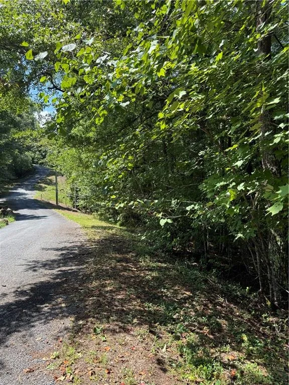 1707 Rebekah Ridge Road Talking Rock, GA 30175