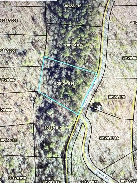 1707 Rebekah Ridge Road Talking Rock, GA 30175
