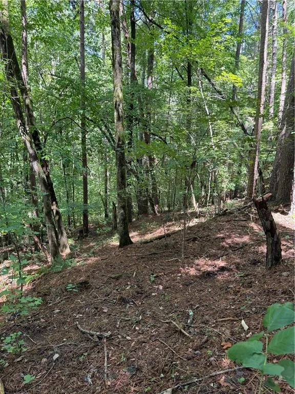 1707 Rebekah Ridge Road Talking Rock, GA 30175