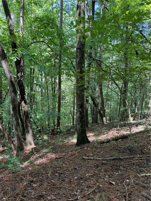 1707 Rebekah Ridge Road Talking Rock, GA 30175