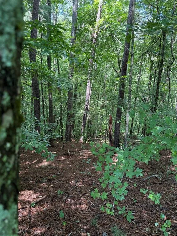 1707 Rebekah Ridge Road Talking Rock, GA 30175