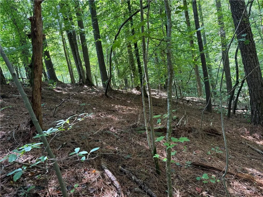 1707 Rebekah Ridge Road Talking Rock, GA 30175