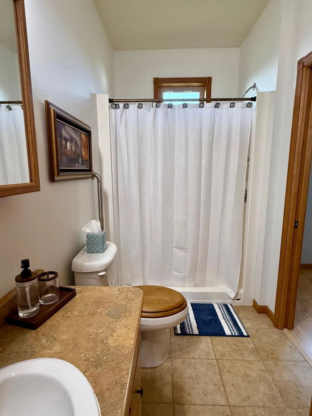 39202 Wild Rose Court Sauk Centre, MN 56378
