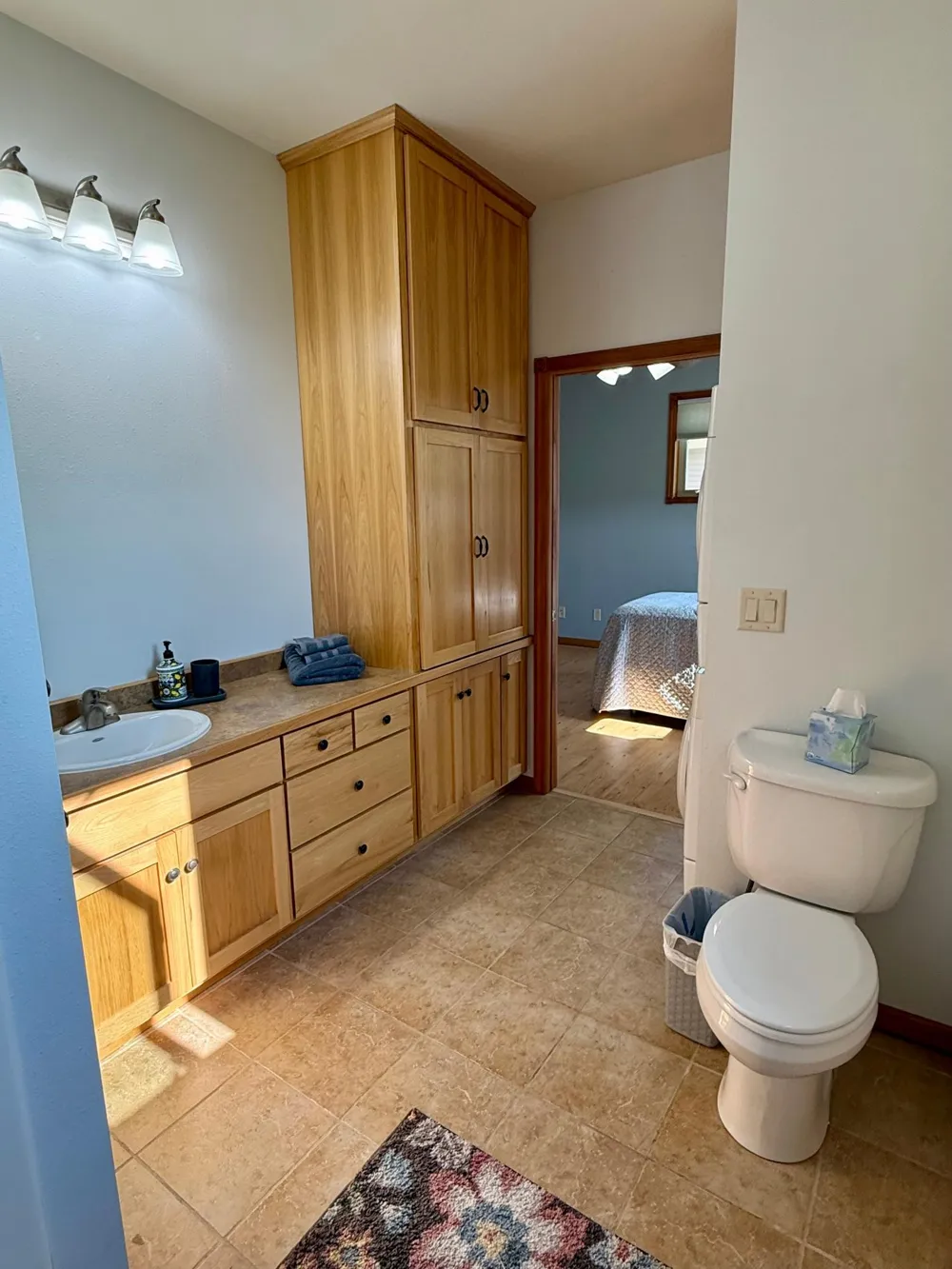 39202 Wild Rose Court Sauk Centre, MN 56378