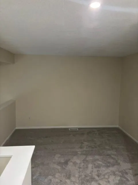 4856 Helena Lane #11 Oakdale, MN 55128