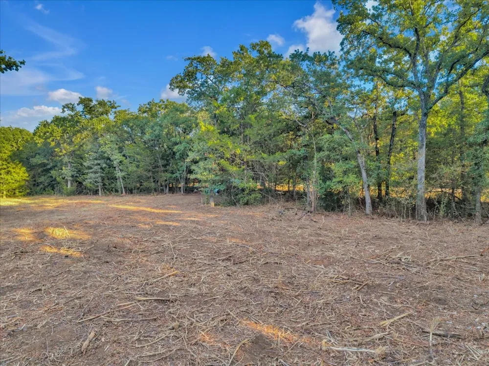 1709 Fox Lane Burleson, TX 76028