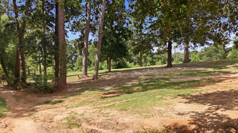 813 El Camino Drive Grapeland, TX 75844