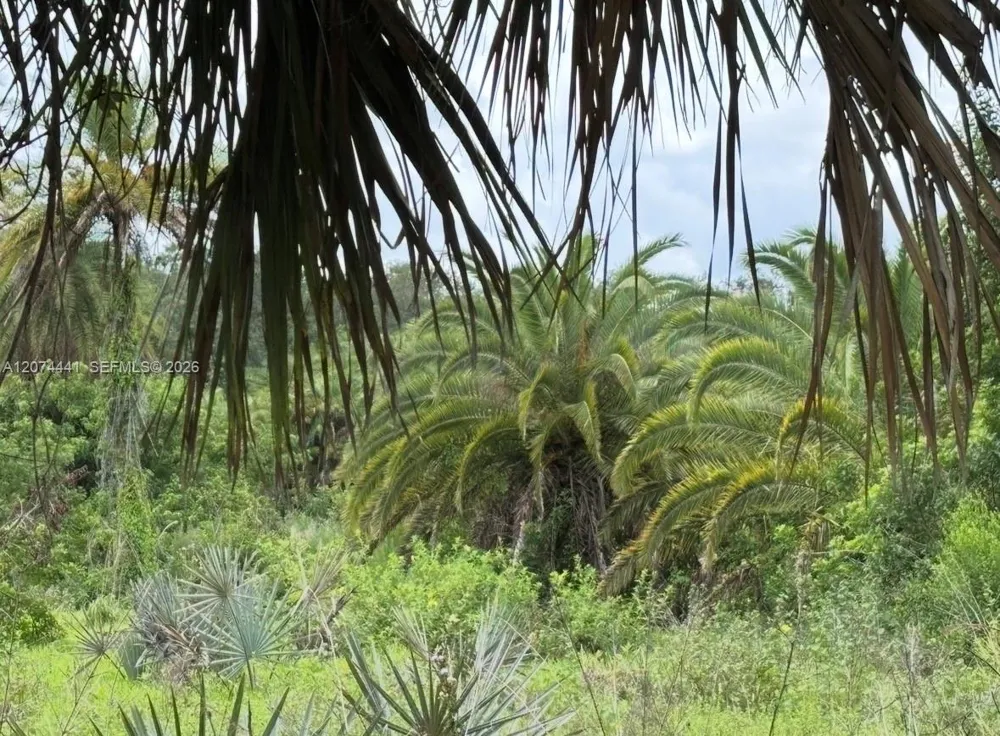 375 County Road 720 Clewiston, FL 33440