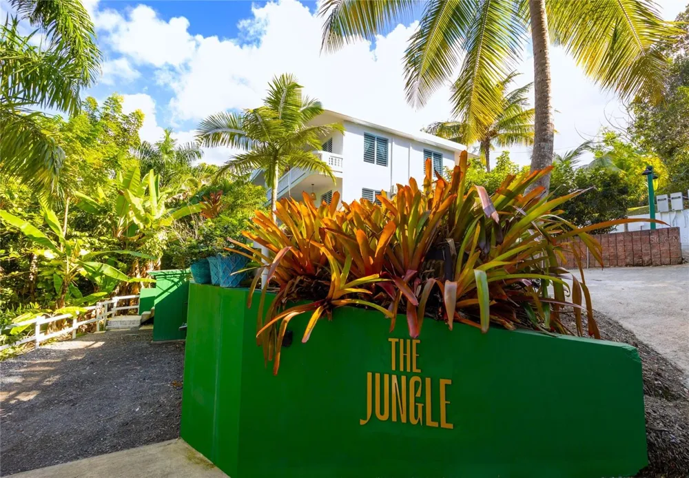 Carr. 413 Int.  Km 4 THE JUNGLE Rincon, PR 00677