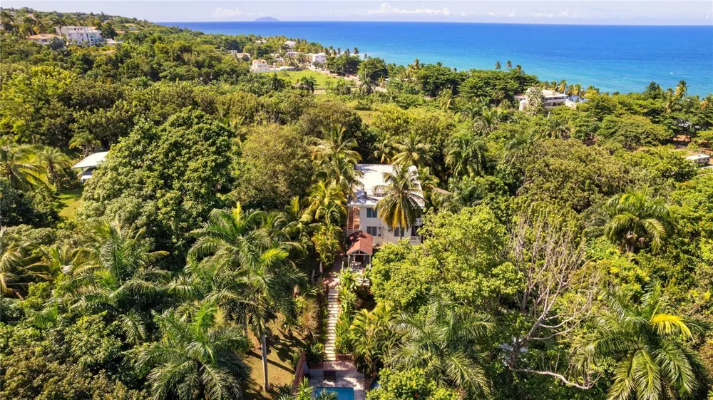 Carr. 413 Int.  Km 4 THE JUNGLE Rincon, PR 00677