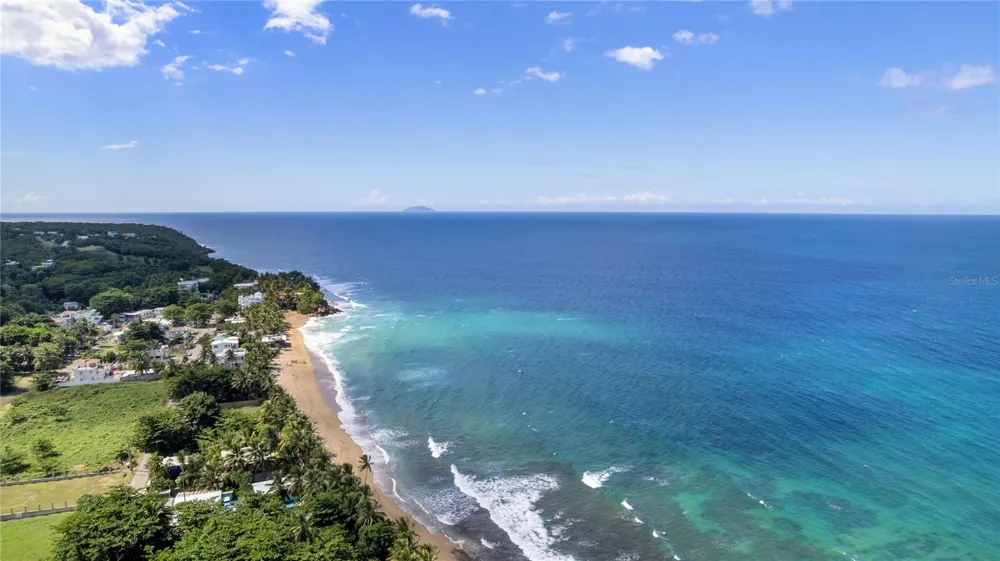 Carr. 413 Int.  Km 4 THE JUNGLE Rincon, PR 00677