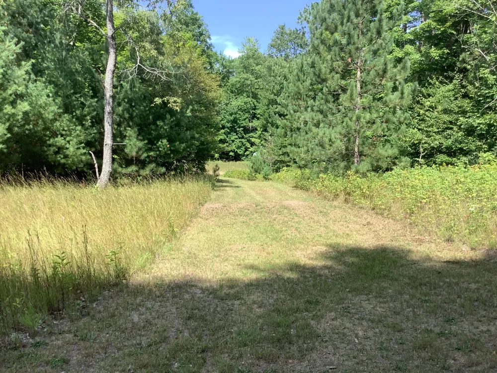 9488 S 11 ROAD South Branch Township, MI 49601