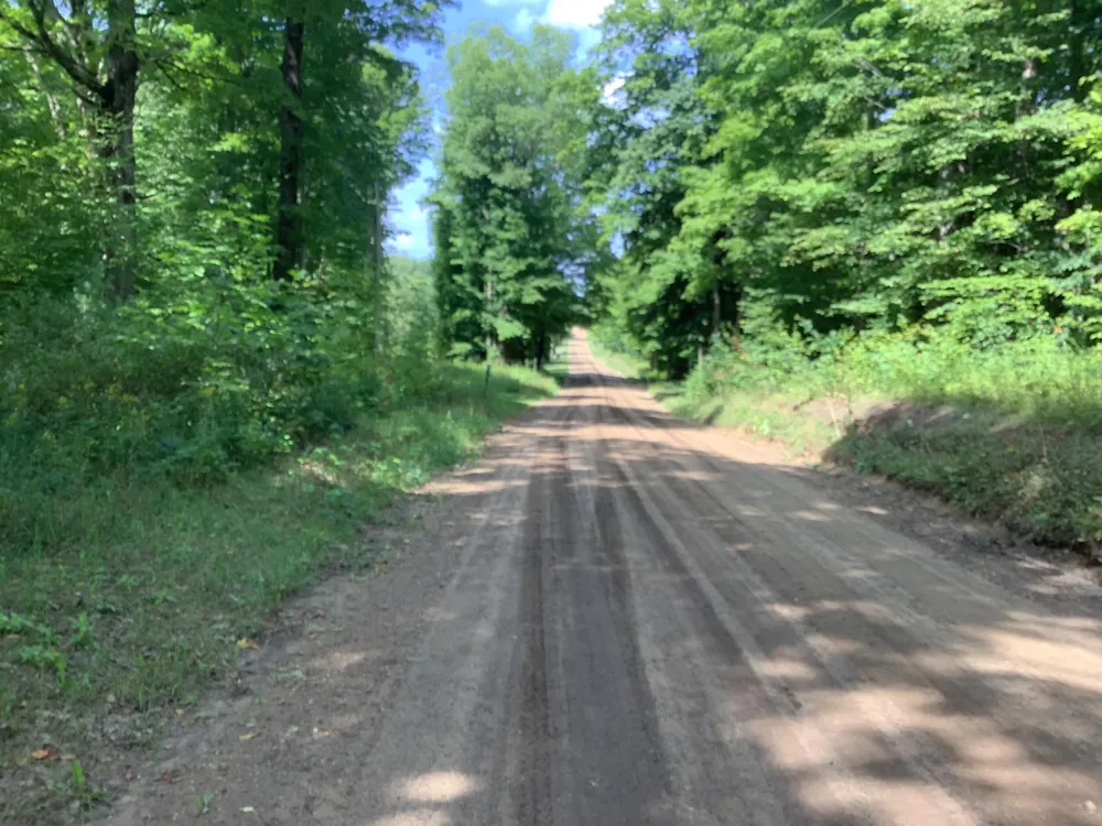 9488 S 11 ROAD South Branch Township, MI 49601