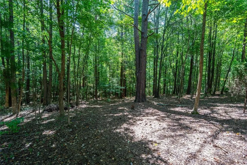 212 Overlook Way Carrollton, GA 30117