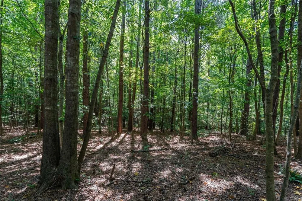 212 Overlook Way Carrollton, GA 30117