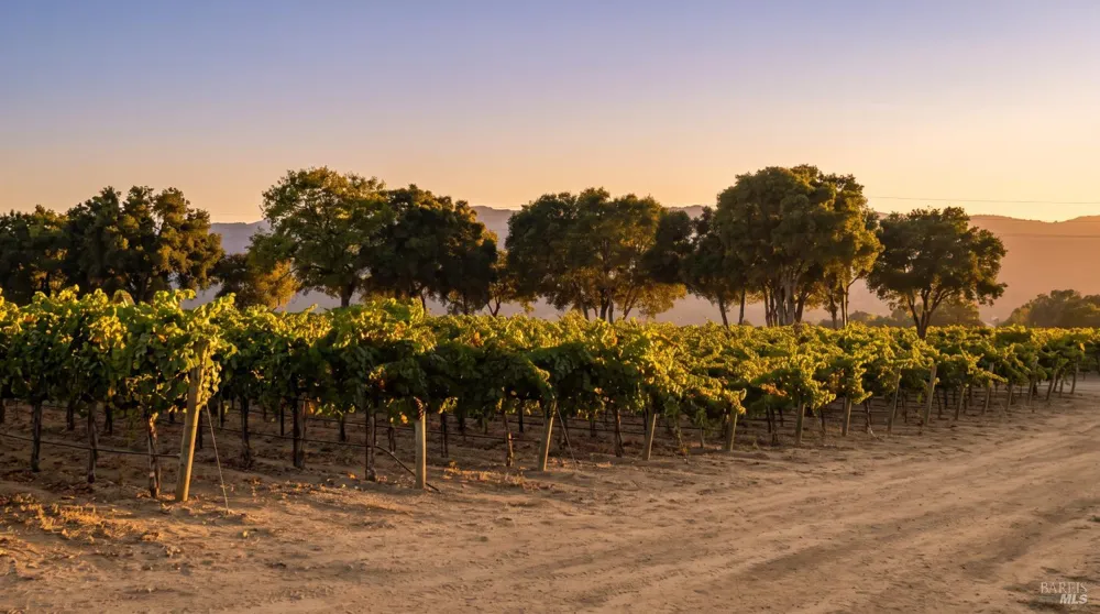 1495 Rafello Drive Ukiah, CA 95482