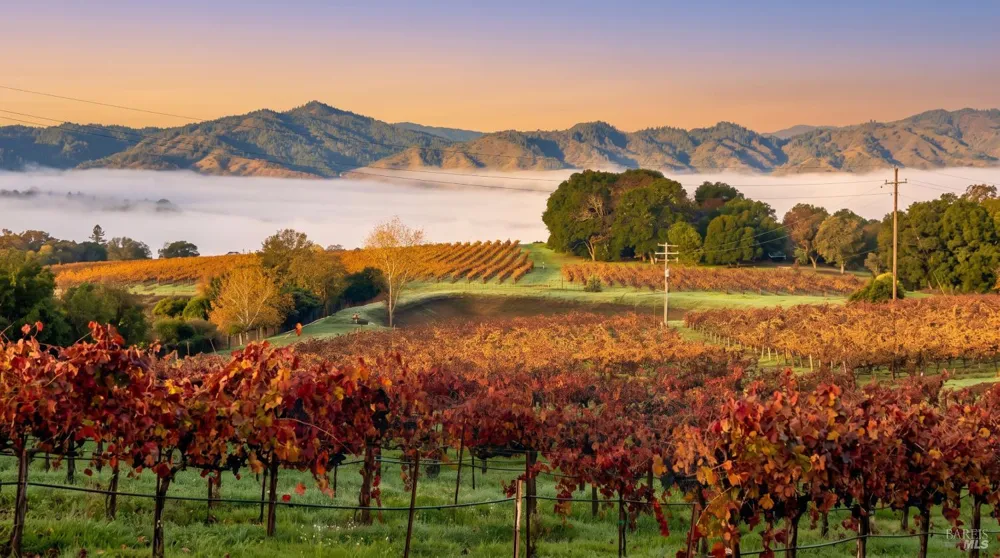 1495 Rafello Drive Ukiah, CA 95482