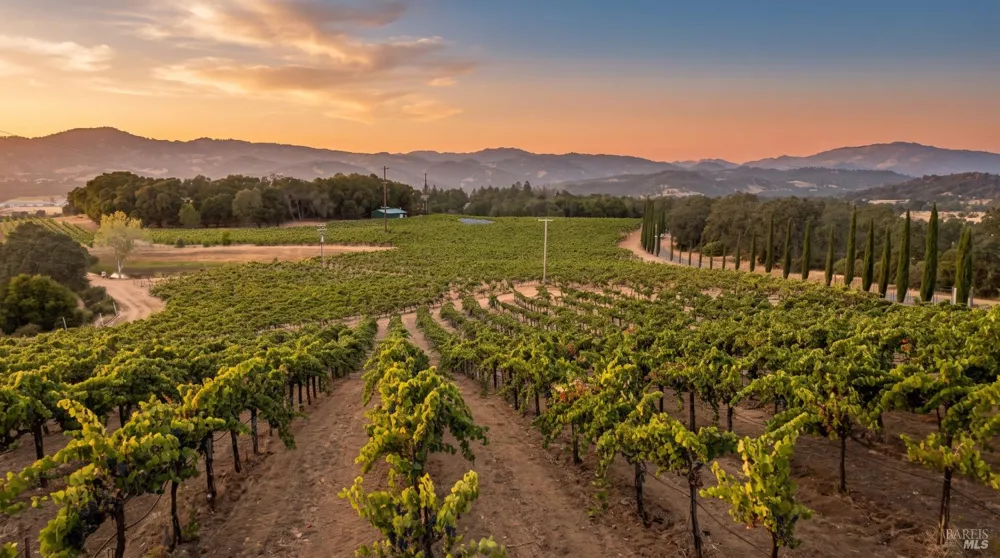 1495 Rafello Drive Ukiah, CA 95482
