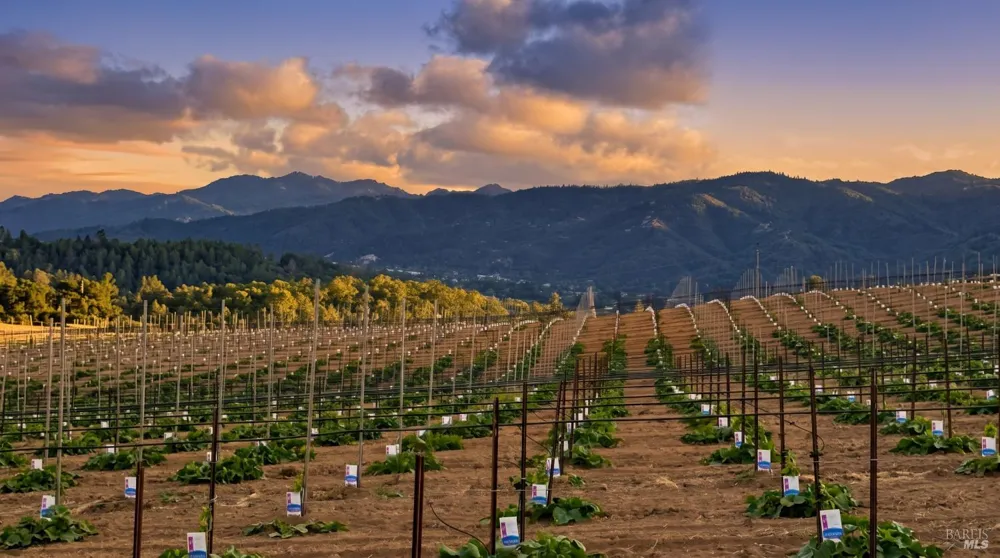 1495 Rafello Drive Ukiah, CA 95482