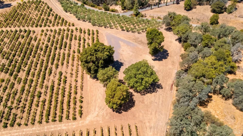 1495 Rafello Drive Ukiah, CA 95482