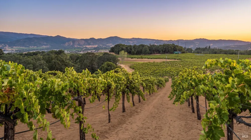 1495 Rafello Drive Ukiah, CA 95482