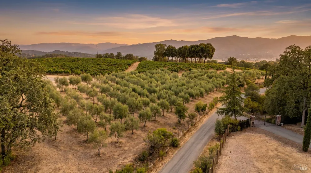 1495 Rafello Drive Ukiah, CA 95482