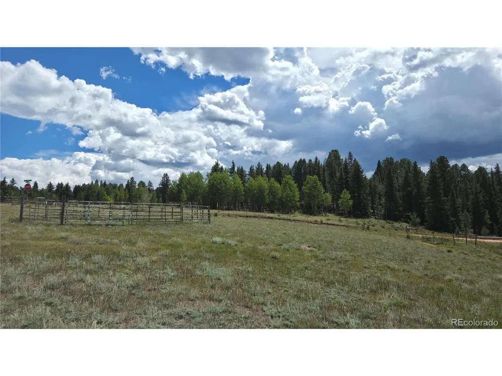 99 Uintah Ridge Road Florissant, CO 80816