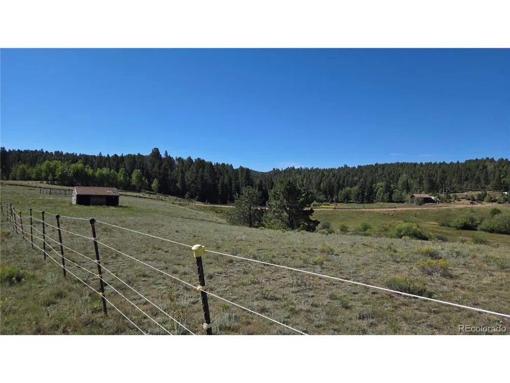 99 Uintah Ridge Road Florissant, CO 80816