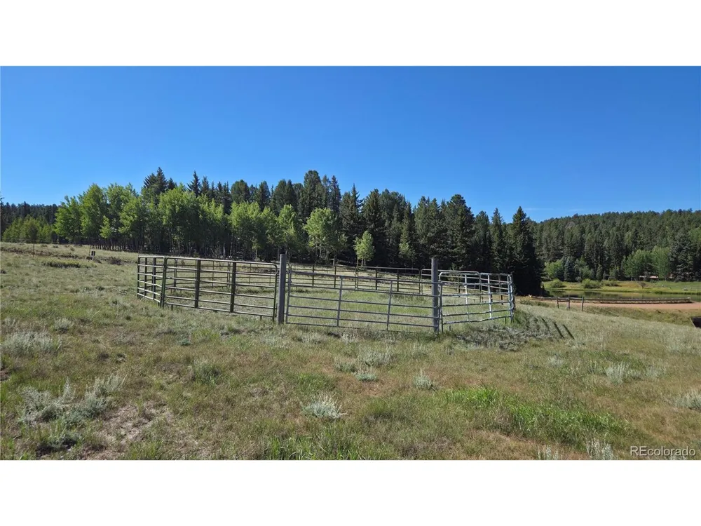 99 Uintah Ridge Road Florissant, CO 80816
