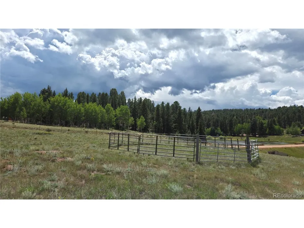 99 Uintah Ridge Road Florissant, CO 80816